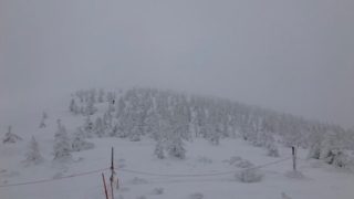 雪の安全管理検定