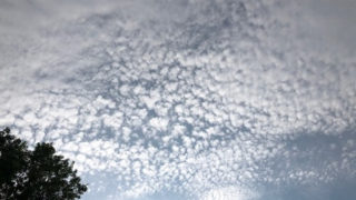巻積雲