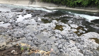 黄瀬川