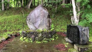 芙蓉の人