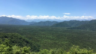 青木ヶ原樹海